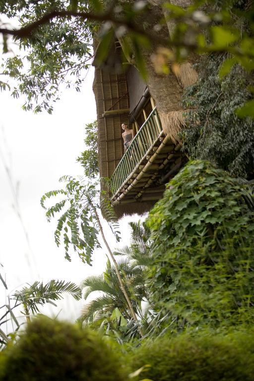 Hotel Jungle Retreat By Kupu Kupu Barong Ubud Zewnętrze zdjęcie