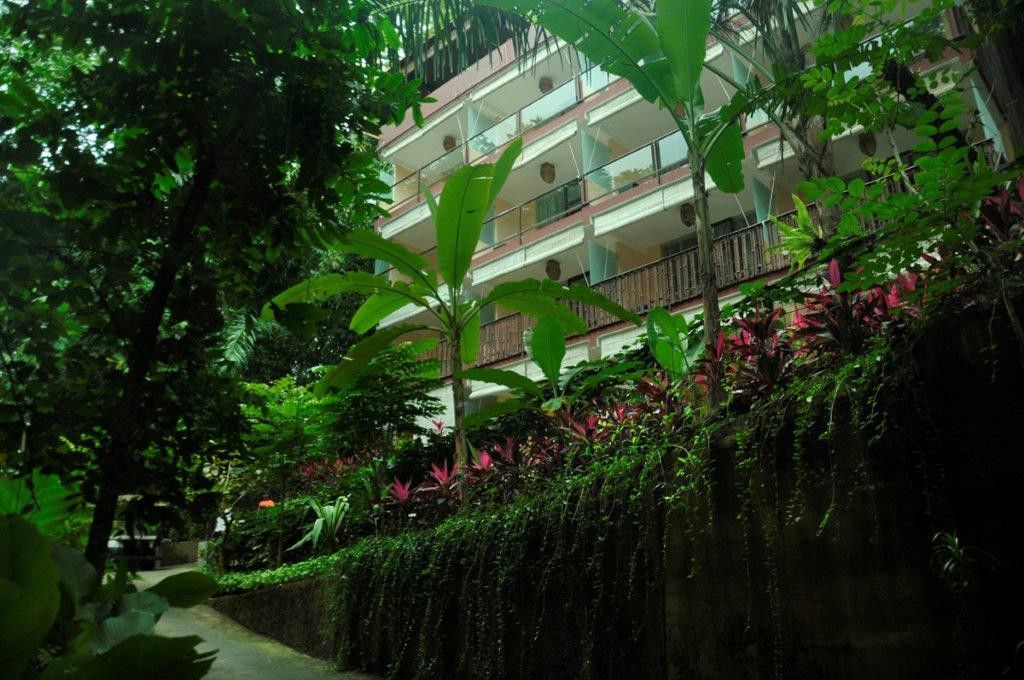 Hotel Jungle Retreat By Kupu Kupu Barong Ubud Zewnętrze zdjęcie